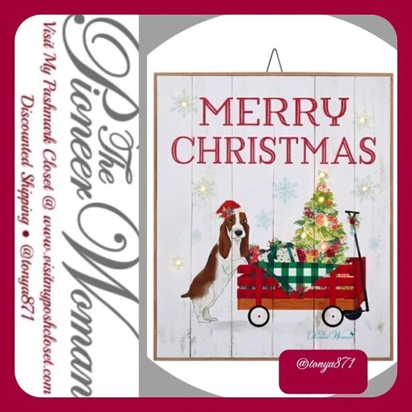 🦋 New Pioneer Woman Charlie LED Hanging Sign, Merry Christmas - Picture 1 of 6